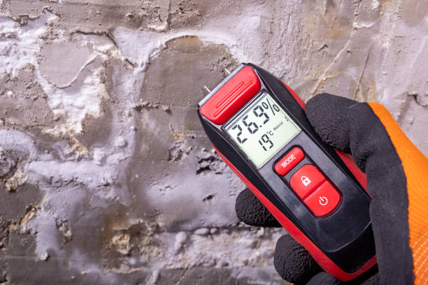 Best Mold Remediation for Specific Building Types in Northlake, TX