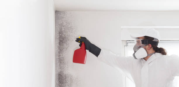 Best Bathroom Mold Remediation in Northlake, TX